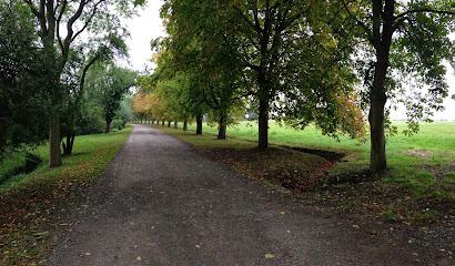 The Oxford Gun Company