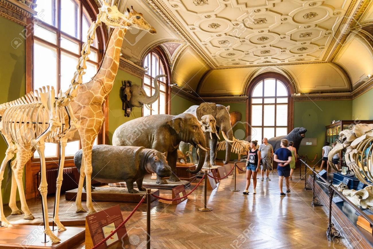 Natural History Museum